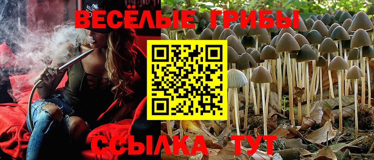Псилоцибиновые грибы ЛСД Кувандык